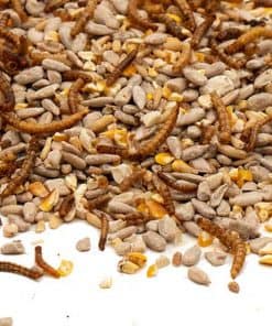 meelwormen high energy stroooivoer