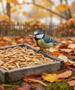 Vogel eet insecten in herfstomgeving met bladeren.