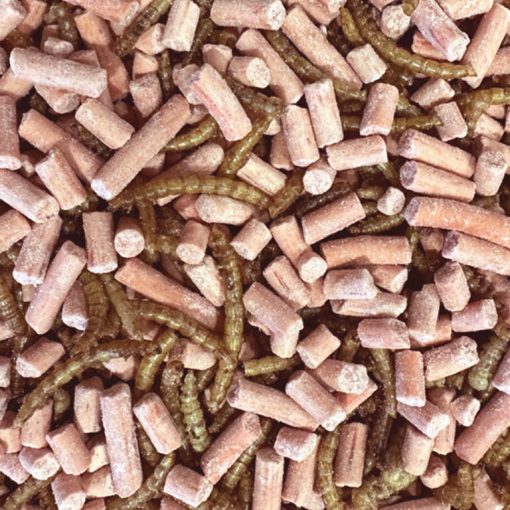 Vetpellets bessen met gedroogde meelwormen voor tuinvogels zeer energierijk