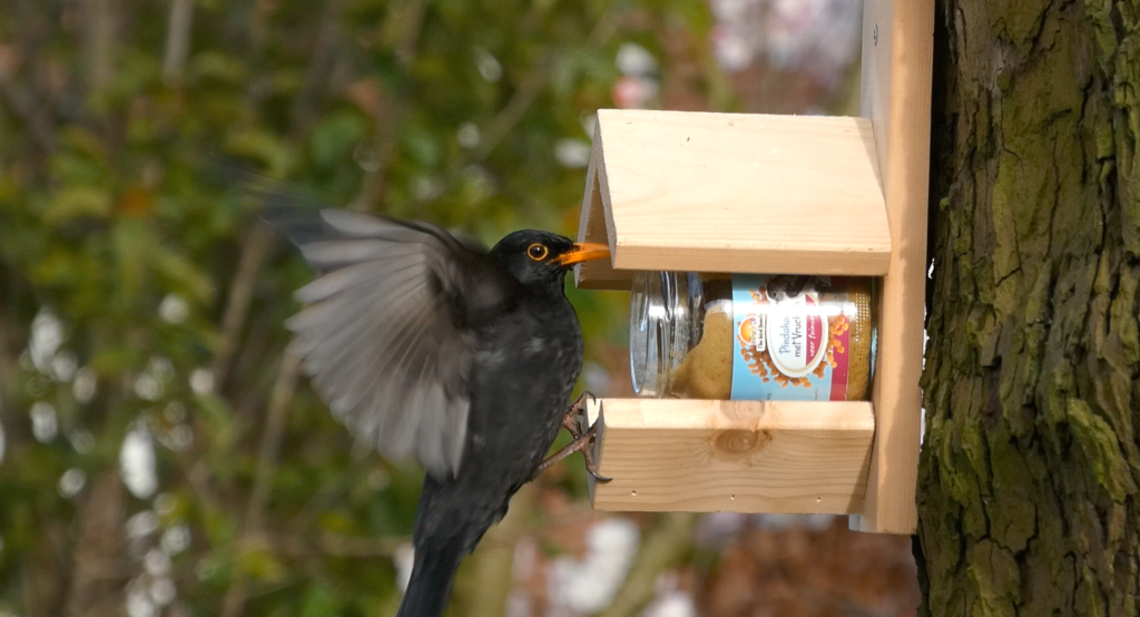 vogelpindakaas mix pakket