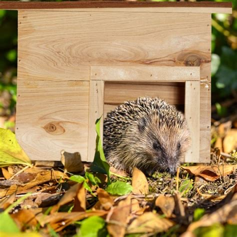 Egelvriendelijk doorgang onder houten tuinwand