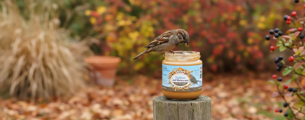 Mus eet pindakaas uit pot op paal.