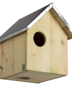 Eekhoorn Nestkast Walli met meerdere ingangen voor eekhoorns – The Bird Family