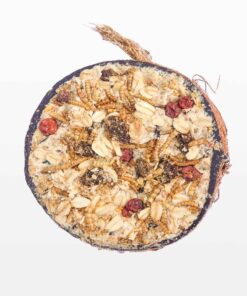 Halve gevulde kokosnoot granola – The Bird Family