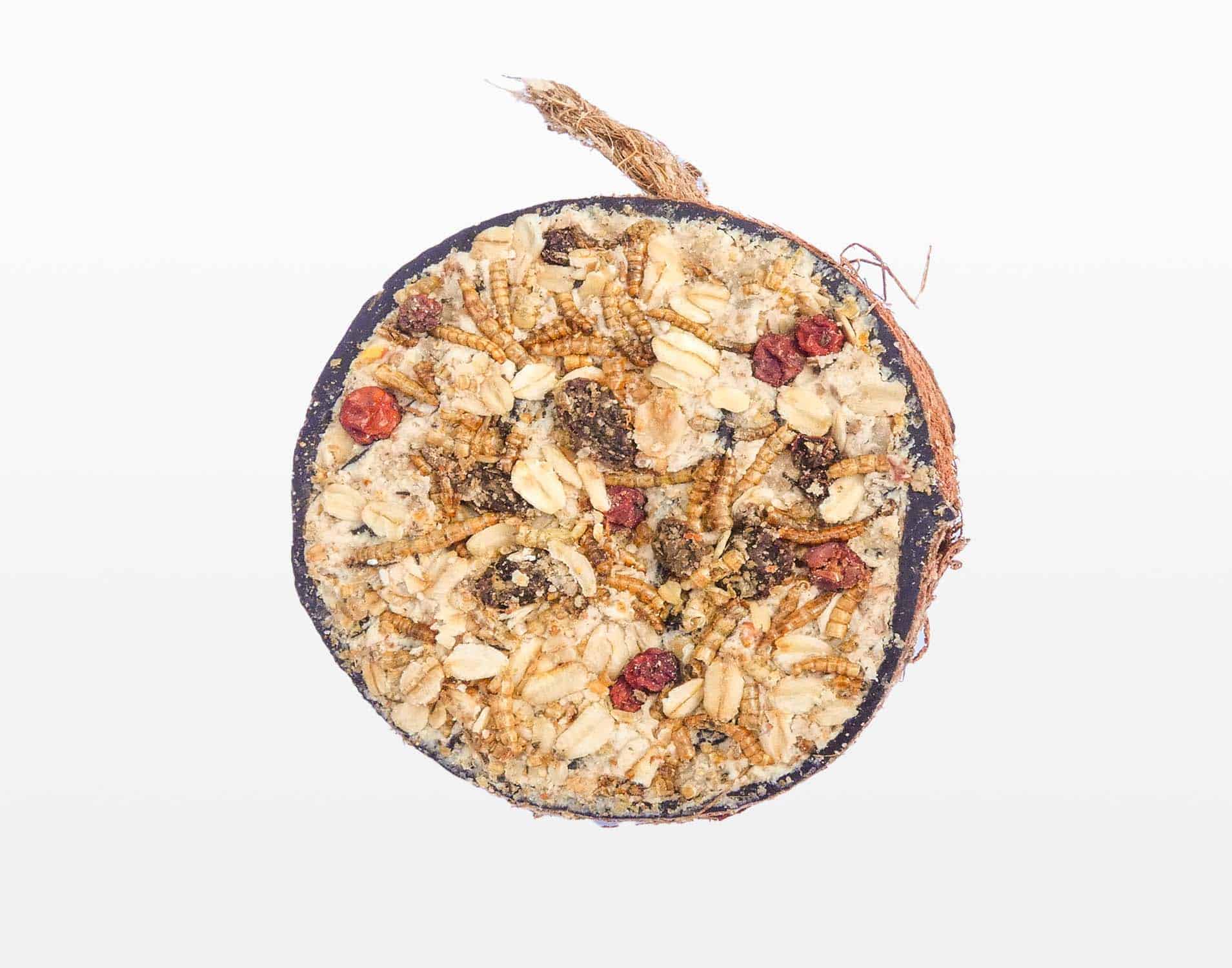 Halve gevulde kokosnoot granola – The Bird Family