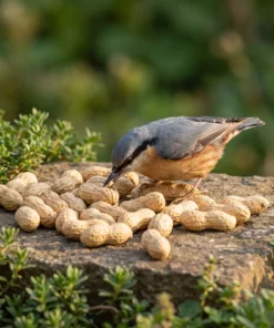 Boomklever eet doppinda's – The Bird Family