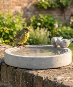 A european greenfinch bij een betonnen vogelbad