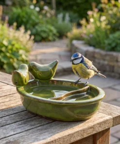 A blue tit bij een drinkschaal tuinvogels groen
