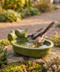 A long-tailed tit bij een drinkschaal tuinvogels groen