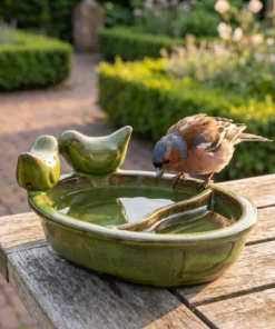 A chaffinch bij een drinkschaal tuinvogels groen