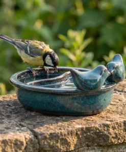 A great tit bij een drinkschaal tuinvogels petrol