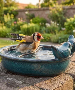 A european goldfinch bij een drinkschaal tuinvogels petrol
