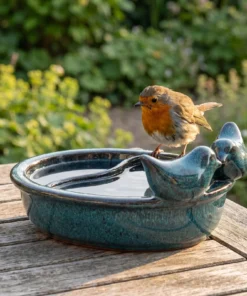 A european robin bij een drinkschaal tuinvogels petrol