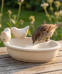 A house sparrow bij een drinkschaal tuinvogels wit