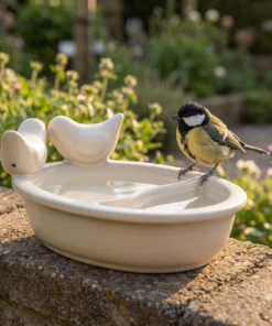 A great tit bij een drinkschaal tuinvogels wit