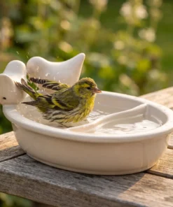 A siskin bij een drinkschaal tuinvogels wit