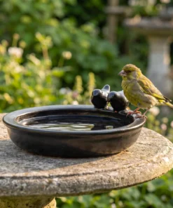 A european greenfinch bij een keramiek vogelbad zwart