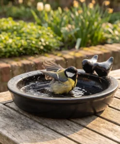 A great tit bij een keramiek vogelbad zwart