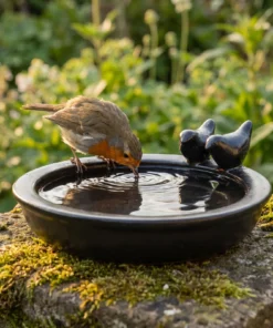 A european robin bij een keramiek vogelbad zwart
