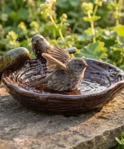 A dunnock bij een keramiek vogelbad nest