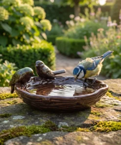 A blue tit bij een keramiek vogelbad nest