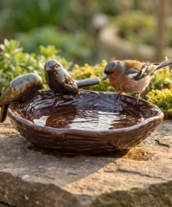 A chaffinch bij een keramiek vogelbad nest