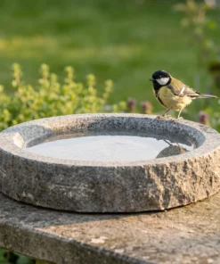 A great tit bij een granieten vogelbad