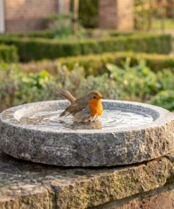 A european robin bij een granieten vogelbad