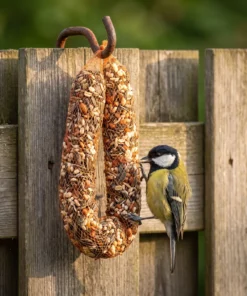 Koolmees eet van mix slinger – The Bird Family