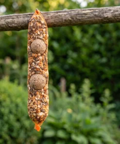Rozijnenmixslinger in de tuin – The Bird Family