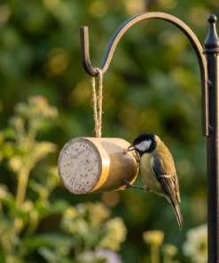 Koolmees eet uit bamboo feeder – The Bird Family