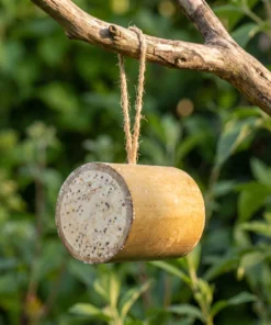 Bamboo feeder in de tuin – The Bird Family