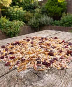 Strooivoer High Energy Plus Prestige op een voedertafel in de tuin – The Bird Family