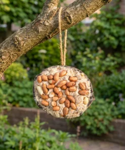 Halve gevulde kokosnoot pinda in de tuin – The Bird Family