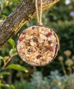 Halve gevulde kokosnoot granola in de tuin – The Bird Family