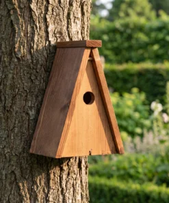 Nestkast koolmees in de tuin – The Bird Family