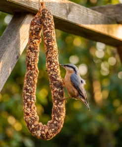 Boomklever eet van notenmixslinger – The Bird Family