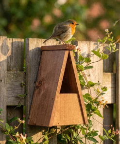 Roodborst bij nestkast roodborst – The Bird Family