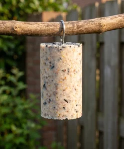 Pindacake zaden in de tuin – The Bird Family