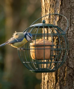 Pimpelmees eet bij pindakaaspothouder London – The Bird Family