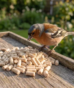 Vink eet insecten vetpellets – The Bird Family