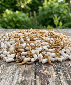 Insecten vetpellets met meelwormen op een voedertafel in de tuin – The Bird Family