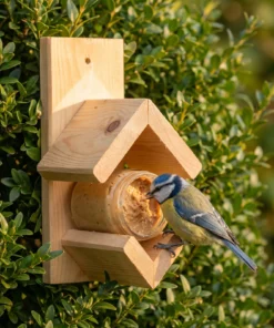 Pimpelmees eet bij pindakaaspothouder vuren – The Bird Family