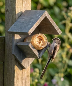 Staartmees eet bij pindakaaspothouder grijs – The Bird Family