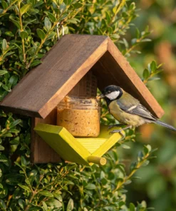 Koolmees eet bij pindakaaspothouder geel – The Bird Family