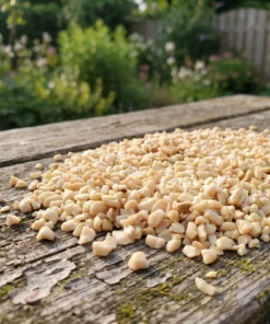 Pindastukjes op een voedertafel in de tuin – The Bird Family