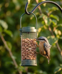 Boomklever eet uit pindasilo klein – The Bird Family
