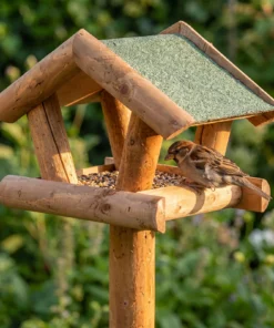 Huismus bij paalvoederhuis groen – The Bird Family