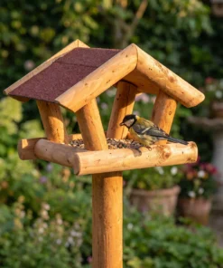 Koolmees bij paalvoederhuis rood – The Bird Family