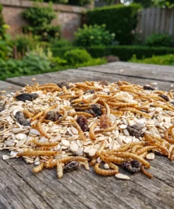 Strooivoer Excellent muesli, rozijn en meelworm op een voedertafel in de tuin – The Bird Family